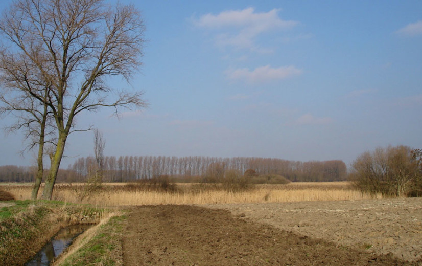 Contouren van nieuwe pachtwet worden steeds duidelijker