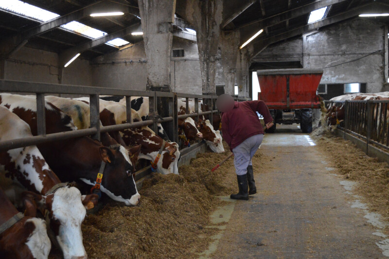 DSC_1107-vervaagd-web