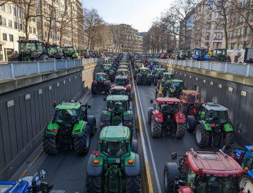 Nieuw landbouwprotest in Brussel voor "eerlijke vergoedingen"