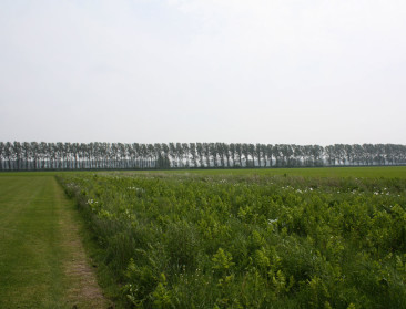 Grote vraag om bijsturing en vereenvoudiging van GLB