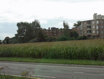 Hoe stel je voor boeren de toegang tot grond veilig?