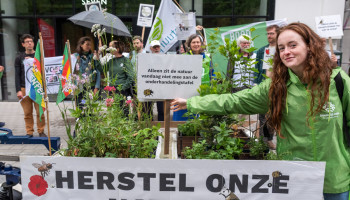 60 organisaties vragen Demir, Brouns en Rutten om natuurherstelwet alsnog goed te keuren