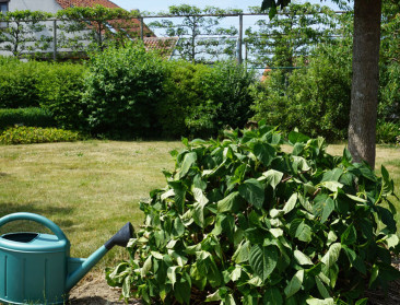 Tuintjes hebben veel meer in hun mars dan doods gazon  
