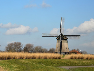 Amerikaanse lof voor Nederlands landbouwsysteem, maar ongeloof over beleid