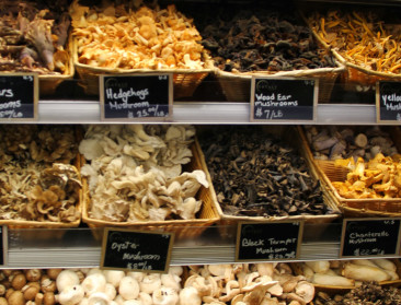 "Pesticidencocktail" op gedroogde bospaddenstoelen 