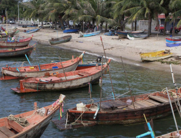 "Wereldwijde bevissing met 30 procent onderschat"