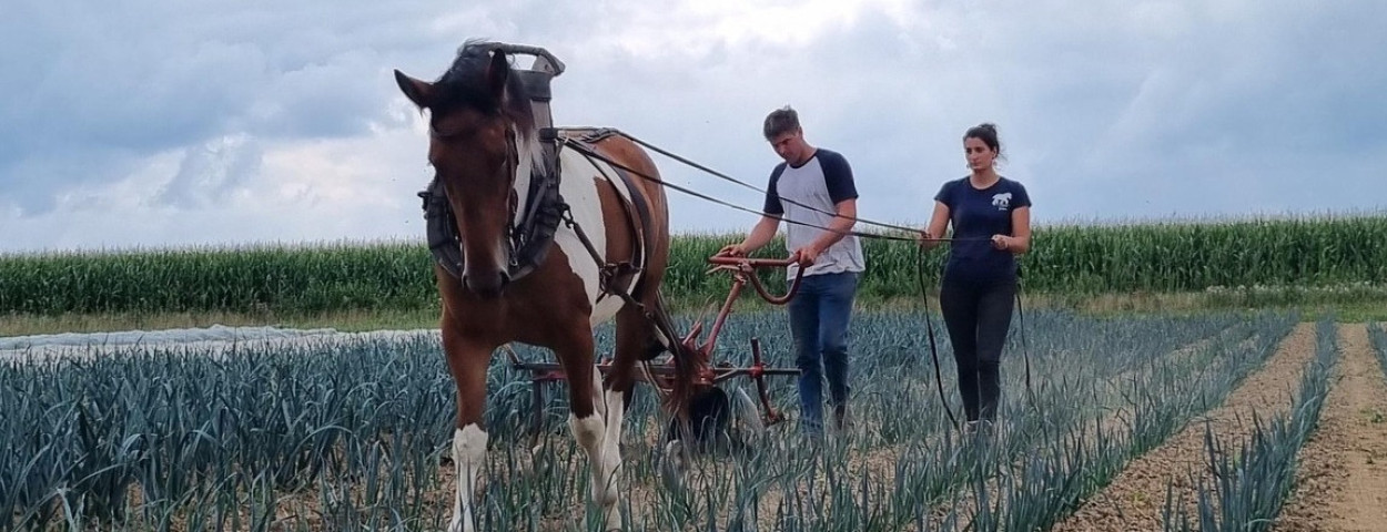 Corentin en Eva met paard