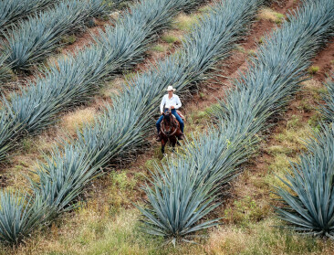 Vernieuwd EU-Mexico handelsakkoord vindt brede steun in Europees Parlement