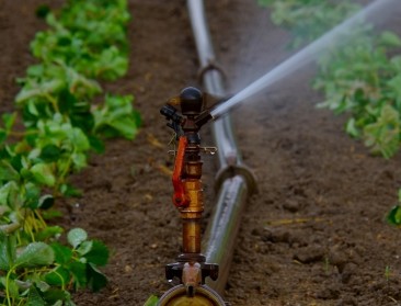 Vlaams-Brabant stimuleert landbouwers voor slim watergebruik