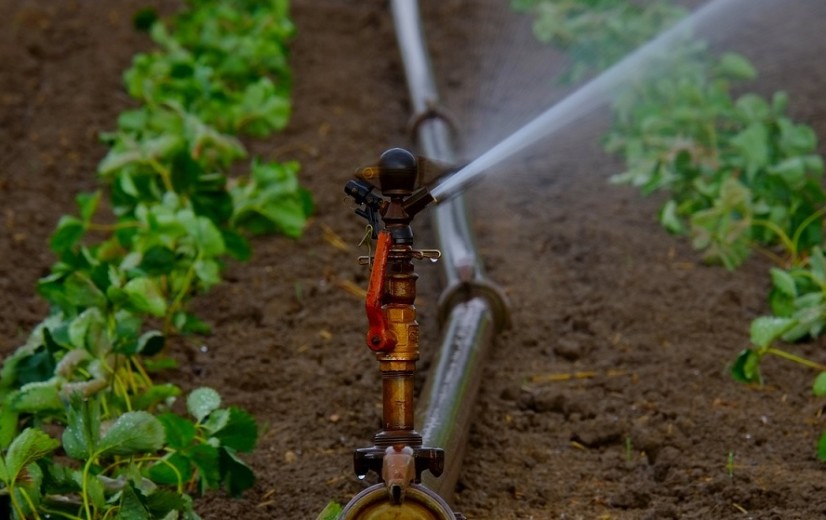 Subsidies voor bedrijven die droogte samen aanpakken