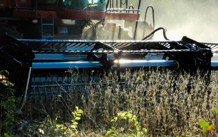 Federale regering bant diesel op basis van soja- en palmolie vanaf 2023