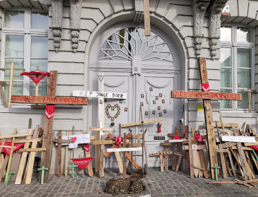 Vlaamse regering keurt beoordelingskaders voor stikstof principieel goed