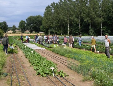 Biotelers vergapen zich aan ruim 100 zaadvaste rassen