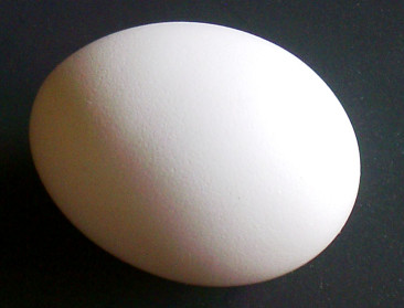 Eerste EU-landbouwministerraad sinds fipronilcrisis