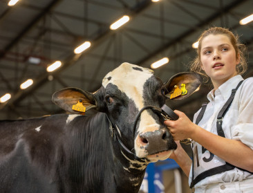 MKZ: Agriflanders opgelucht na groen licht van FAVV voor prijskampen
