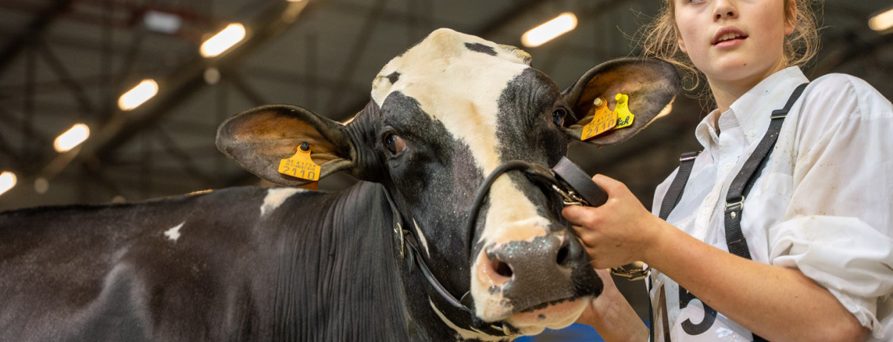 Prijskamp Agriflanders2