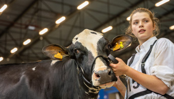 MKZ: Agriflanders opgelucht na groen licht van FAVV voor prijskampen