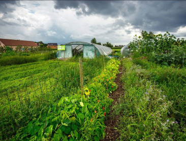 BioForum: “Niet Green Deal, maar gebrek aan landbouwvisie is probleem”