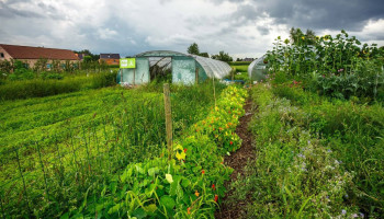 BioForum: “Niet Green Deal, maar gebrek aan landbouwvisie is probleem”