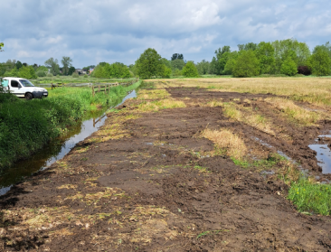 Natuurpunt verbolgen over vernielingen in Vallei van de Zwarte Beek