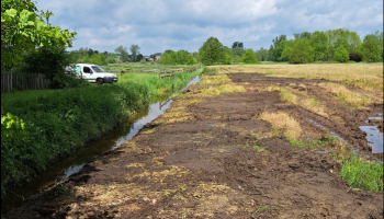 Natuurpunt verbolgen over vernielingen in Vallei van de Zwarte Beek
