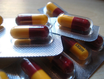 "Mogelijk antibioticaverbod is bedreiging voor dierengezondheid"