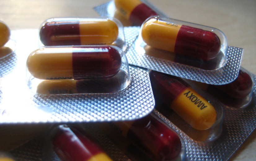 "Mogelijk antibioticaverbod is bedreiging voor dierengezondheid"