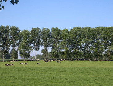 Reacties op Vlaams Klimaatakkoord: "Landbouw als deel van de oplossing"