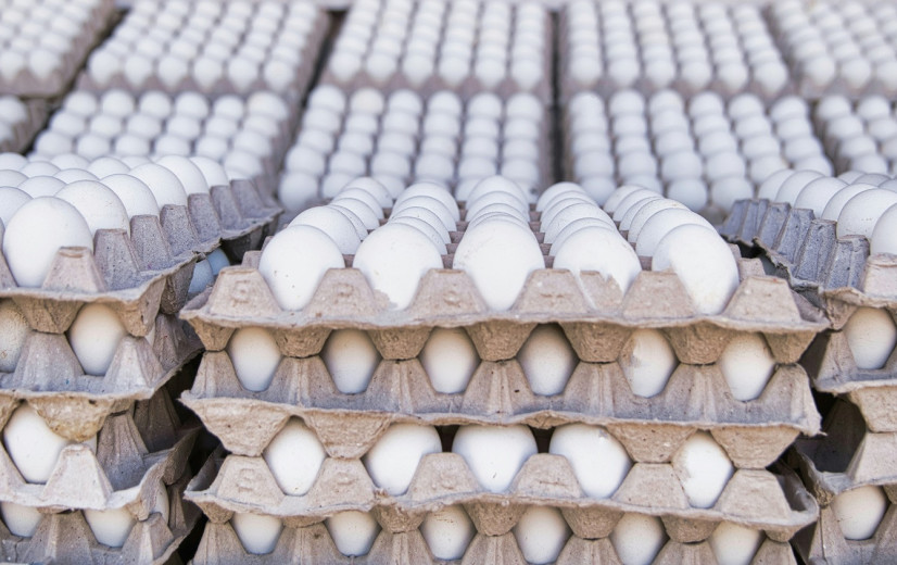 Paasklokken brengen verdere daling eierprijzen in België en VS