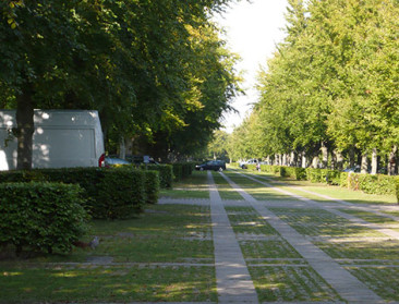 AVBS bepleit verplichte groennorm in de verharde ruimte