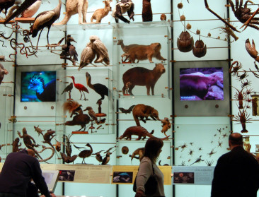 VN vraagt meer inspanningen voor behoud biodiversiteit