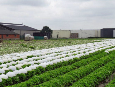 11 rampen nog steeds niet erkend door federale regering