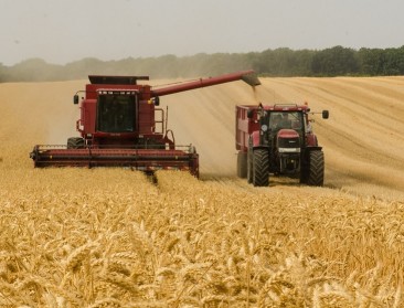 Graanstrijd tussen Poolse boeren en Oekraïne escaleert: “Akkoord veraf”
