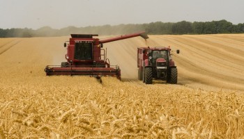 Graanstrijd tussen Poolse boeren en Oekraïne escaleert: “Akkoord veraf”
