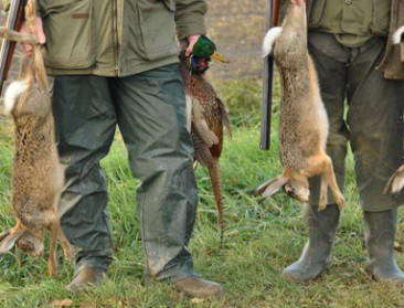 Regering legt regels rond werking Jachtfonds vast