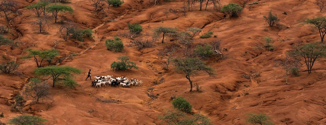 carbon farming Kenia_Northern Kenya Rangelands