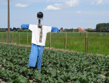 Boeren aarzelen om hulp te vragen bij administratie