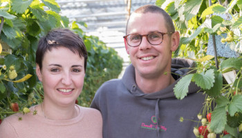 Tuinbouwer start als enige in Vlaanderen met kersenteelt onder glas