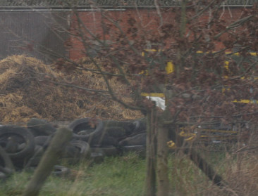 Pleidooi voor dierenpolitie vanwege hardleerse eigenaar