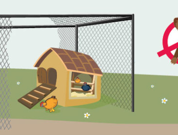 Natuurbeschermers en jagers twisten over vos en marter