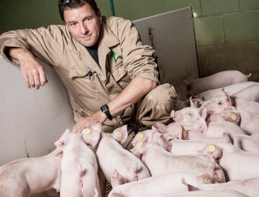 Einde van een tijdperk? Grootste varkensboer van Nederland laat zich uitkopen