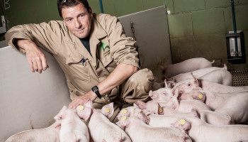 Einde van een tijdperk? Grootste varkensboer van Nederland laat zich uitkopen