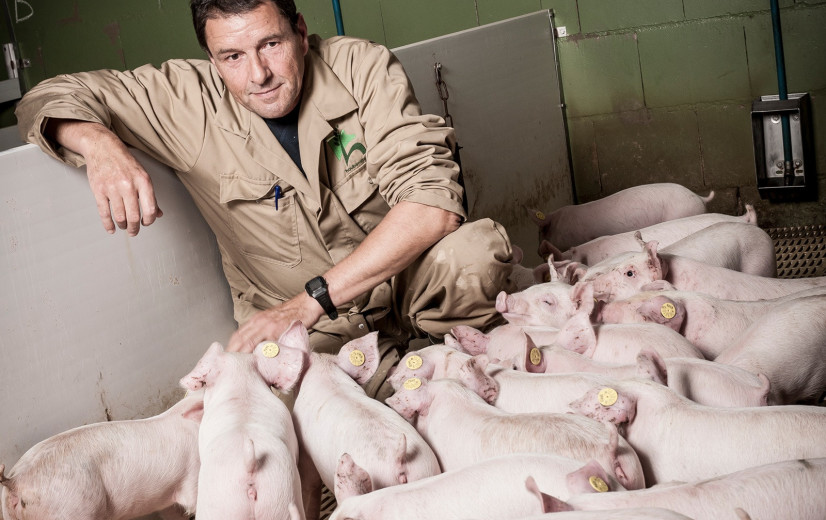 Einde van een tijdperk? Grootste varkensboer van Nederland laat zich uitkopen