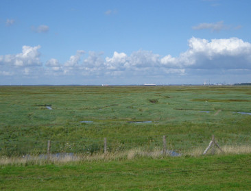 Nieuw fonds voor duurzame landbouw in Groot Saeftinghe