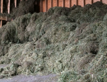 "Landbouwgrond moet meer natuurvoordelen leveren"
