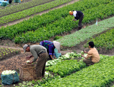 70% dagelijkse kost is oorspronkelijk buitenlands