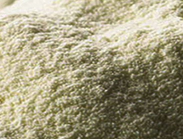 “Europa overspoelt Afrika met poedermelk” 