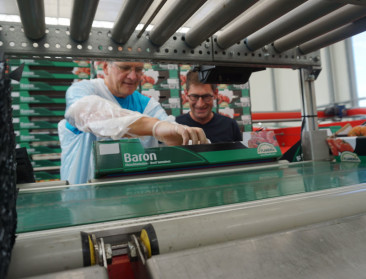 Peeters: "Voorlopig Brexit-akkoord is een goede stap"