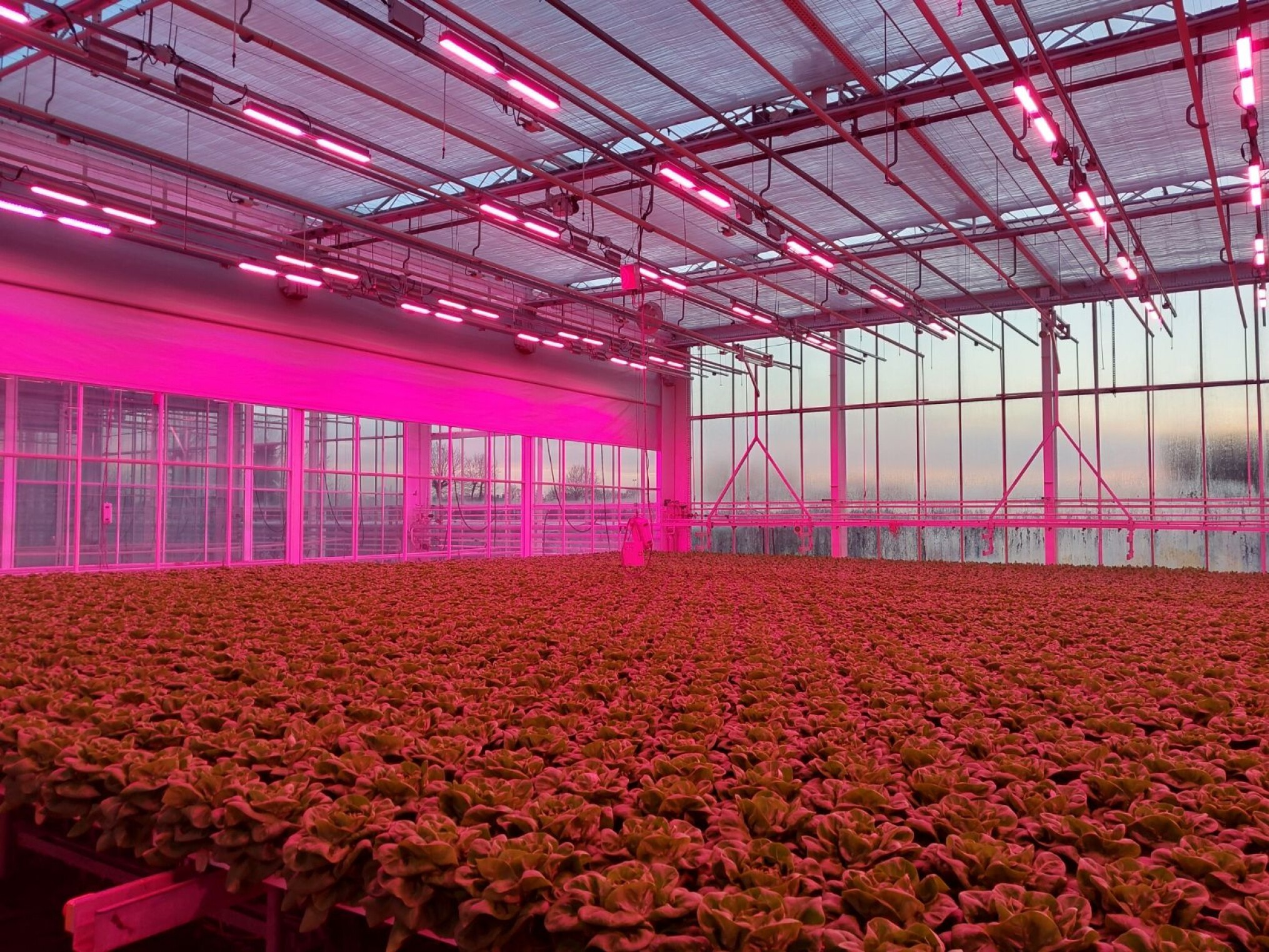 Studiedag: Slimme energie voor slimme teelt: toekomstgerichte energie-oplossingen