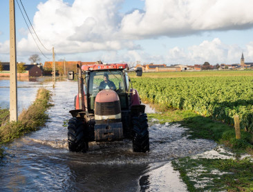Groenteverwerkende industrie draait op halve kracht door wateroverlast bij boeren